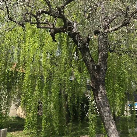 Il Salice Felice Casa de Férias *